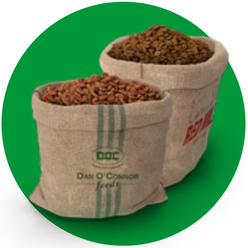 Animal Feed